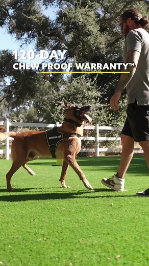 Crafted with a perfect blend of rugged durablity and comfort, our beds stand up to the toughest challenges, providing a resilient sanctuary for working canines. Engineered with precision and a commitment to quality, K9 Ballistics sets the standard for durable dog beds, providing a trusted solution for professional handlers. Invest in the longevity of your dog's well-being. | K9 Ballistics Dog Beds