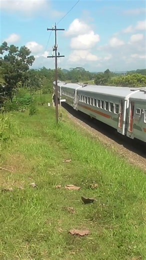 The Serayu Train Speeds Towards Tasikmalaya Station #train