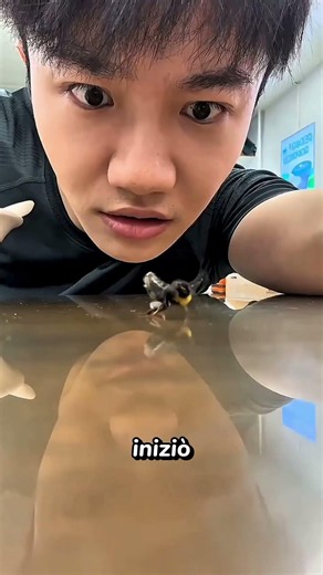 An impossible friendship between a man and an insect #extraordinary #viral