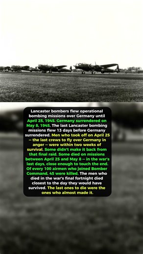 The Last Mission Before Peace #history #ww2