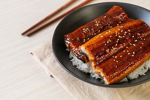 O que é Unagi? Definição, origem e curiosidades sobre o termo
