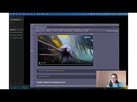 How to Publish and Share Multimodal Datasets with Pixeltable Cloud