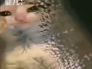 【yujnyujn】最新视频来袭，快来看看吧！