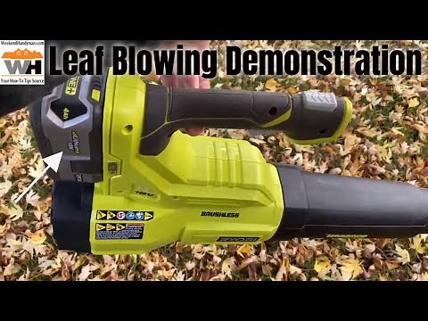 Full Demonstration of Ryobi Tools 18 Volt P21100VNM Leaf Blower With Wet Leaves and Lawn