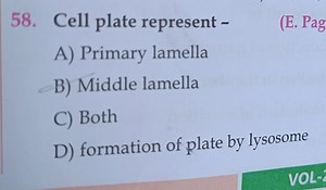 Cell plate represent -A) Primary lamellaB) Middle lamellaC) ... | Filo
