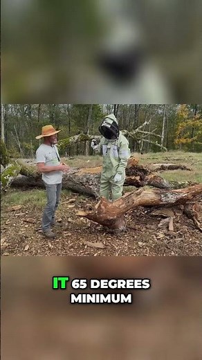 Bees' Body Temperature: See How They Survive Winter! #shorts