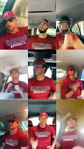 Call us... Maybe? #harvard