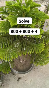 Math Try This Math | M Mathematics