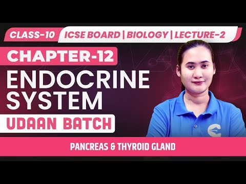 Pancreas & Thyroid Gland | Endocrine System Class 10 ICSE Biology | Lecture-2 | UDAAN​