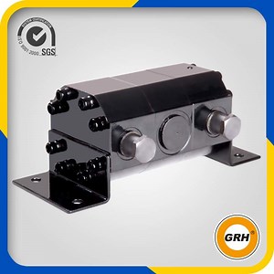 [Hot Item] Hydraulic Gear Flow Divider Synchronous Gear Motor