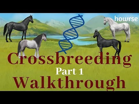Howrse Crossbreeding Walkthrough Part 1