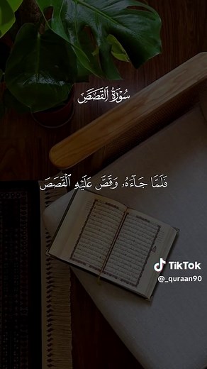 رب إني لما أنزلت إلي من خير فقير — تلاوة خاشعة من القرآن