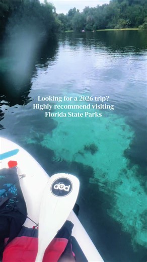 Paddle boarding in Florida hits different 🐠🌊 I saw SO many colorful fish just gliding over crystal-clear water. Visiting a Florida state park is a must-do if you want real nature, calm water, and unforgettable views. Tap the location tag to find water sport experiences. Tap any experience to use the search bar and discover more things to do in Florida. Drop a comment if you have any questions for your Florida trip 📍 #tiktokgorisingstarsl1 #floridasprings #stateparks #floridatravel #paddleboar