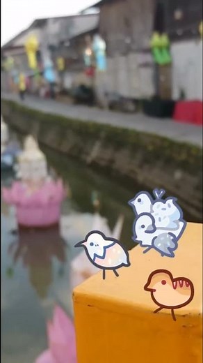 Ducks chilling on a bridge