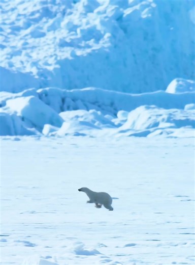 Exploring the Fascinating World of Animals