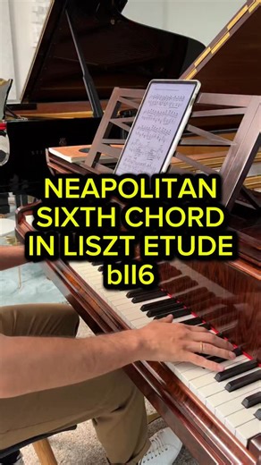 Liszt use of the Neapolitan Sixth chord bII6 in his Etude No.10 #liszt #harmony | Sebastien Dupuis