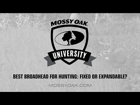 Best Broadhead for Hunting • Mossy Oak University