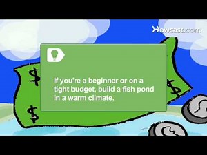 How to Build a Backyard Fish Farm