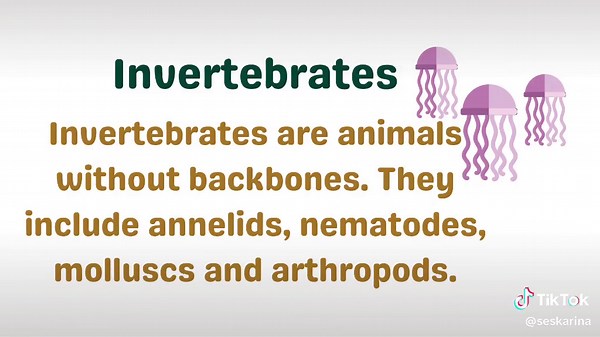 Learning About Vertebrates and Invertebrates in Science Class