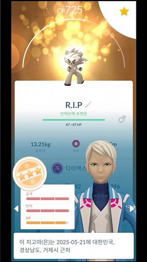 98% 반짝반짝 "다이맥스 치고마" 50Lv 풀강! #포켓몬고 #pokemongo