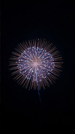 An amazing display shell #pandafireworks #pyro #fireworks #feuerwerk #displayshells