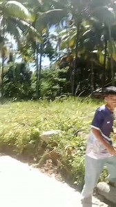 Philippine Loop Hiking Edition October 16,2025 (Day 229) Starting location: Brgy.Lintangan Starting time: 8:49 Am Target destination: Municipality of Sibuco Ending time 1:09 PM Total KM 19.48 Total Steps 27,507 #Philippineloop #guinnessworldrecordsofficialattempt #ColumbiaPhilippines #ROXPhilippines | Ferdinand Dela Merced