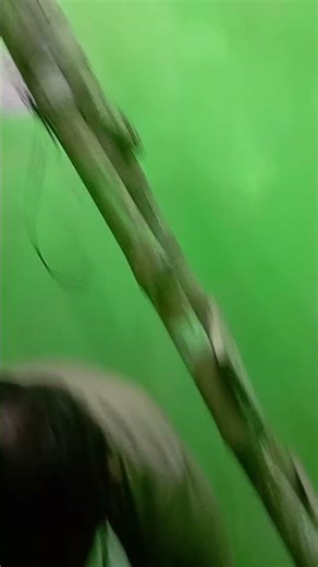 Wiring Skill 🔥 | Casing Patti Wiring Work | Viral Electric Video 2025