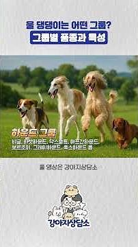 보호자도 몰랐던 강아지 품종별 특징