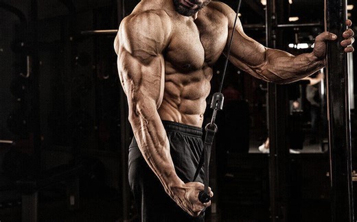 The “Flat Triceps” Fix That Finally Built My Arms – Fitness Volt