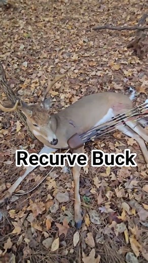 Smoked A Buck #deer #wildernessseason #hunting #bowhunting #deerseason #deerhunting #archery #bucks