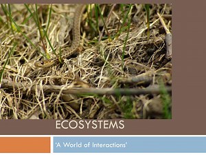 Ecosystems - SlideServe