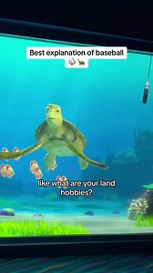 Best explanation of baseball #turtletalkwithcrush #disneyland #californiaadventure #disneyworld | Turtle Crush Talk