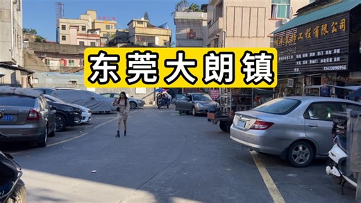 逛东莞市大朗镇 毛衣的基地 猫山王198元一个