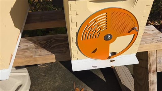 Nucs in the back yard | Bountiful Bees of Broad Street