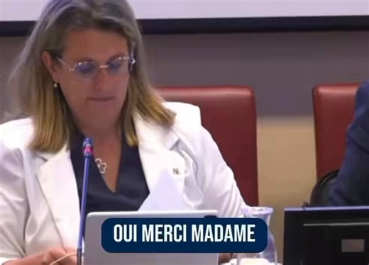 Commission sur la protection de l’enfance : LFI a déposé un amendement pour permettre aux gens fichés comme auteurs d'infractions terroristes (Fijait) de recueillir des enfants