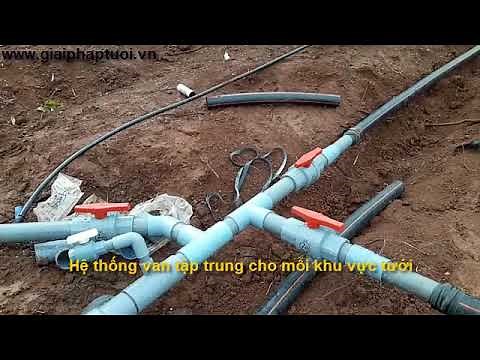 Hướng dẫn làm hệ thống tưới nhỏ giọt theo luống