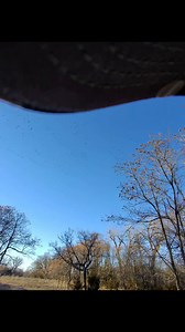 Wild geese migration. Ito ang kagandahan ng Meta AI-Rayban, marami kang ma-capture na moment kahit walang phone sa kamay mo. Sa interested, link sa baba. | Mercy Jane Griesel