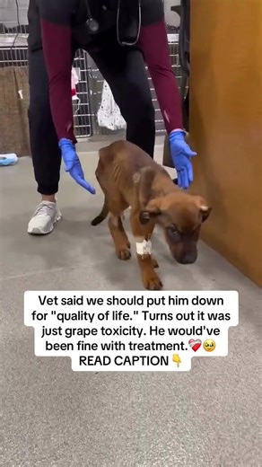 READ CAPTION 👇🏻