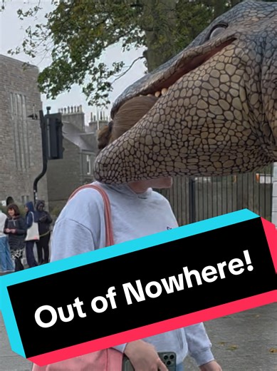 A Surprise Allosaurus Encounter!