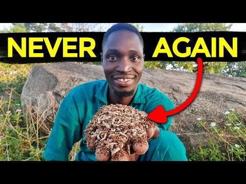 DO NOT Feed Your Chickens Maggots and Azolla