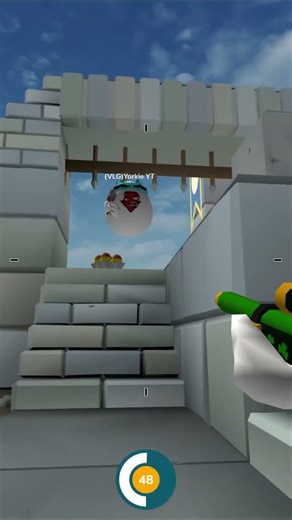 Shellshockers Crackshot 1v1 vs VLG Yorkie! #shorts