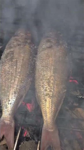 GRILLED SMALL FISH // ROSEVILL THE DORA EXPLORER #asmr #viral #shortvideo #views #countryside #food