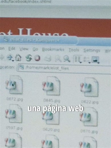 La historia de los jóvenes fundadores de la popular red social Facebook, especialmente de su creador más conocido, Mark Zuckerberg. Su leyenda reza: 'No se hacen 500 millones de amigos sin hacer unos cuantos enemigos'. LA RED SOCIAL / The Social Network (2010) #película #movie