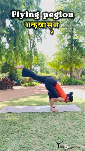The Flying Pigeon (Galavasana). Focus, balance, and strength all in one flow. 🧘‍♀️✨#shorts#viral#yt