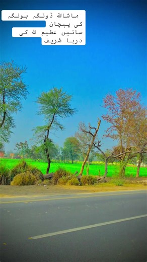 Identifying Dongabunga: A Look at a Unique Cultural Symbol