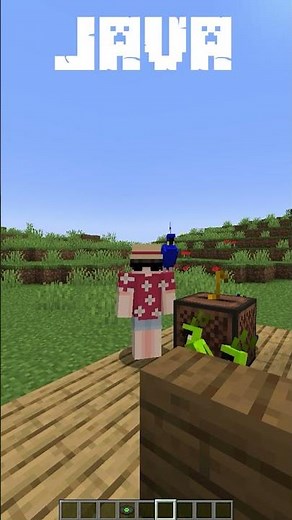 Java vs Bedrock Big Differences You Need to Know in Minecraft! #11 #javavsbedrock