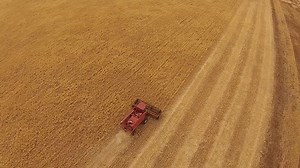 Aerial Footage Vintage Harvester Harvesting Hay Stock Footage Video (100% Royalty-free) 8280961 | Shutterstock