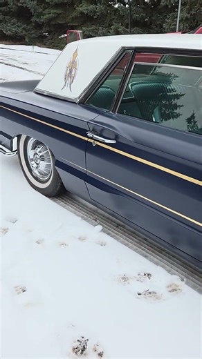 64 thunderbird walkaround