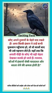 Smart Crow #AmazingFacts #CrowIntelligence #SmartBirds #AnimalMemory #BirdFacts #ScienceReels #ExcitingFacts #NatureMystery #MindBlowingFacts #FactReel #AnimalWorld #CrowFacts #ViralFacts #WildlifeSecrets #NatureReels #EarthCreatures #AnimalKingdom #SmartAnimals #CrowsOfInstagram #KnowledgeReels #InterestingFacts #AnimalBehavior #NatureScience #BirdPhotography #FactCraze #WildlifeWonder #AnimalIntelligence #NatureLovers #SmartestBird #HiddenNature | Exciting Facts