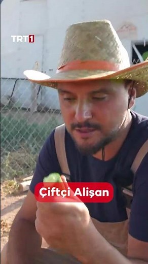 Alişan’ın tarlaya girip taze sebze ve meyveleri topladığı anlar görülmeye değer 👨‍🌾🙂